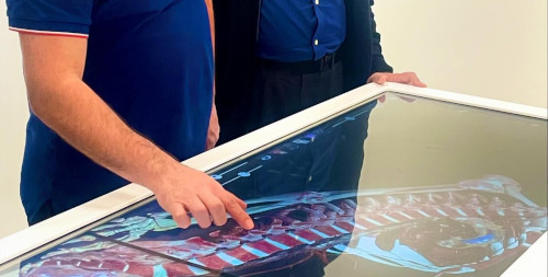 A CNI MRI student and instructor examining an MRI image